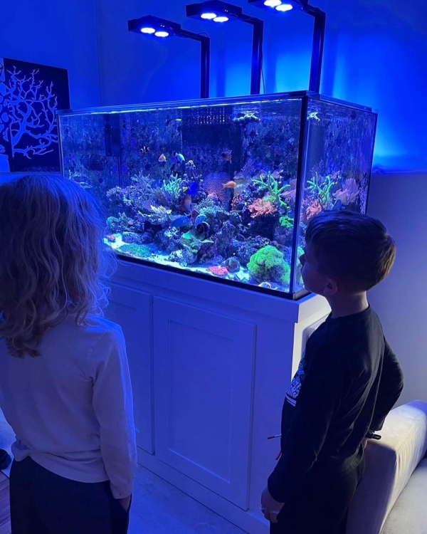 Peel Regional Aquarium Club